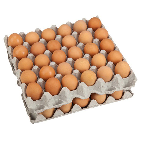 kirkland signature organic 5 dozen eggs usda grade aa large 1