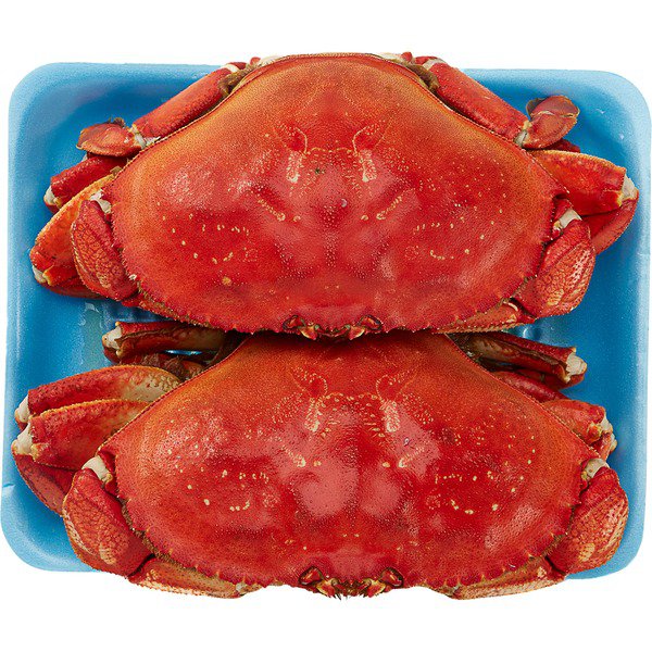 kirkland signature whole cooked dungeness crab 1