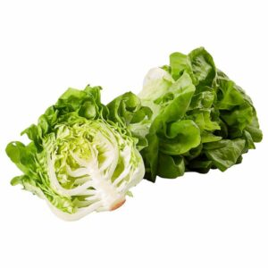organic living lettuce 2 ct