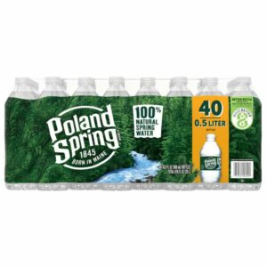 poland spring 100 natural spring water 40 x 16 9 fl oz
