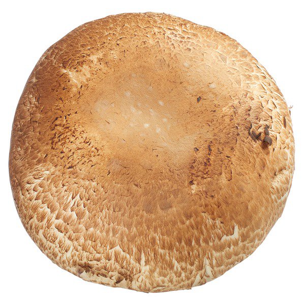 portabella mushroom 18 oz 1