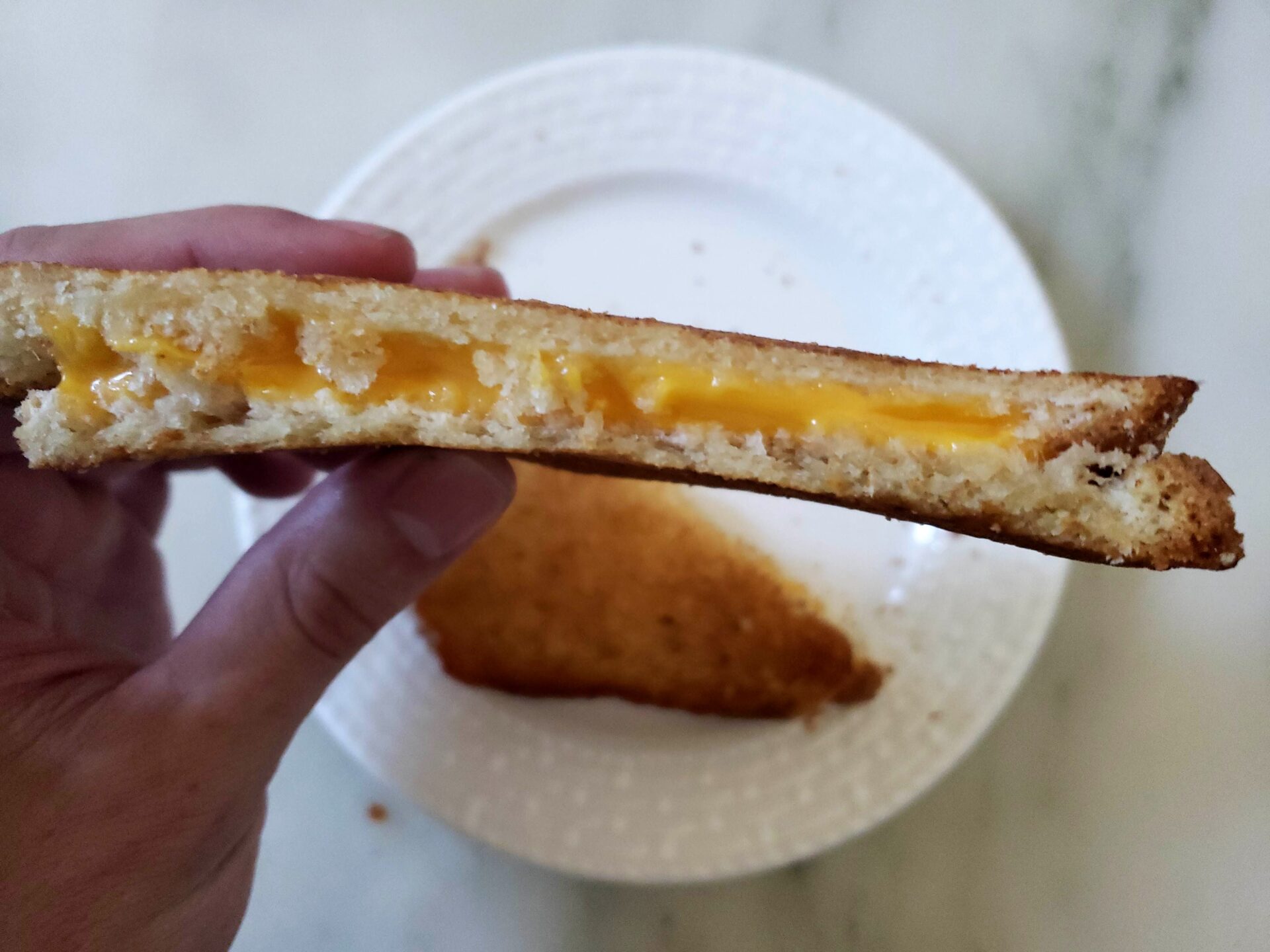 Toaster Grills Review! Frozen Grilled Cheese Sandwiches : r/Costco